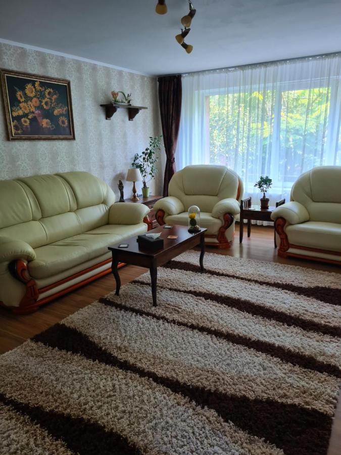 מלון Sărata-Monteoru Casa Alex מראה חיצוני תמונה